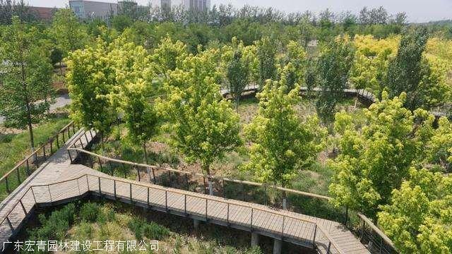 广东宏青园林建设工程有限公司 产品展厅 >造林绿化工程/园林绿化设计